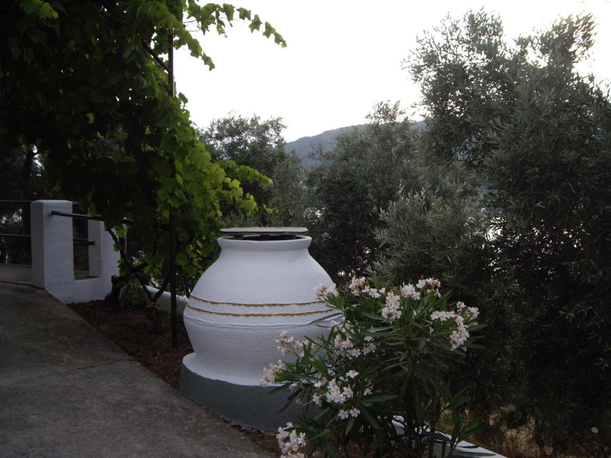 Ourania Sea Breath Appartement Punta Buitenkant foto